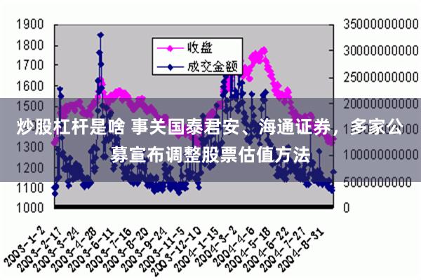 炒股杠杆是啥 事关国泰君安、海通证券，多家公募宣布调整股票估值方法