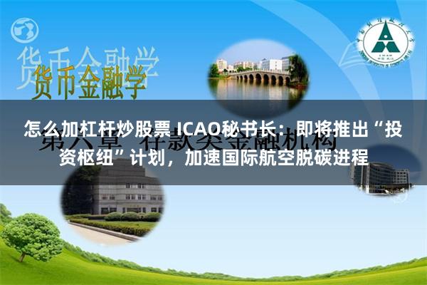 怎么加杠杆炒股票 ICAO秘书长：即将推出“投资枢纽”计划，加速国际航空脱碳进程