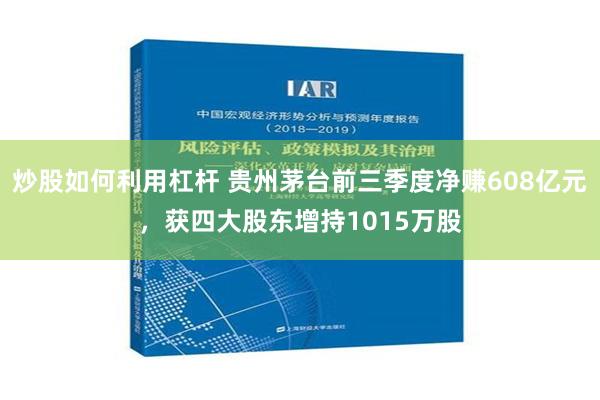 炒股如何利用杠杆 贵州茅台前三季度净赚608亿元，获四大股东增持1015万股