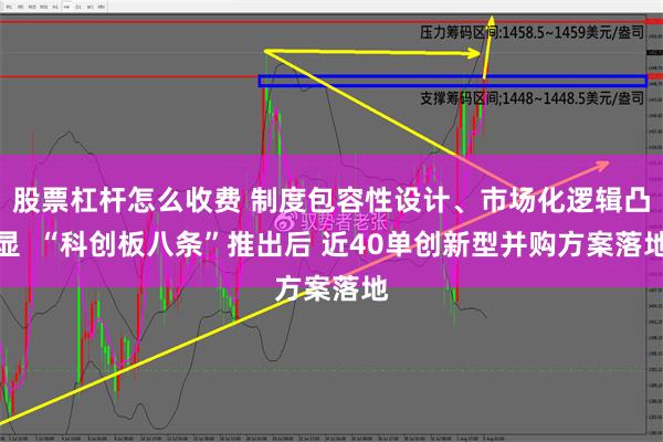 股票杠杆怎么收费 制度包容性设计、市场化逻辑凸显  “科创板八条”推出后 近40单创新型并购方案落地